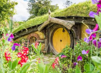 1 hobbiton new zealand (3)