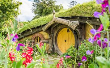 1 hobbiton new zealand (3)