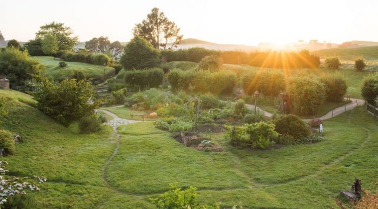 1 hobbiton new zealand (3)