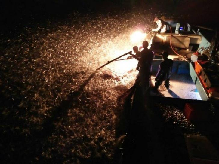 sulfuric fire fishing in Jinshan taiwan (23)