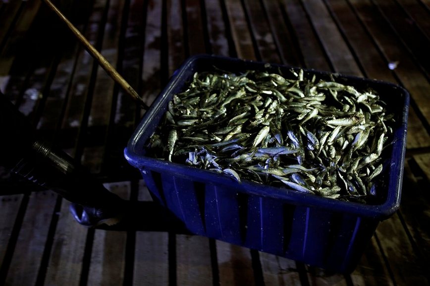 sulfuric fire fishing in Jinshan taiwan (8)