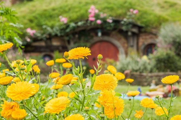 hobbiton fairy village the lord of the rings new zealand (12)