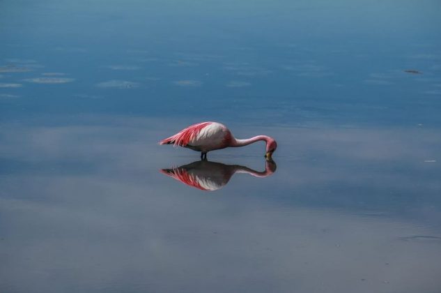 travel guide, salt pan, Salar de Uyuni, Bolivia