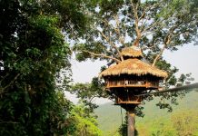 treehouse in Nam Kan, Bokeo Province 2
