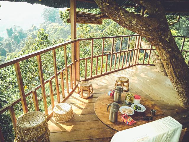 treehouse in Nam Kan, Bokeo Province 2