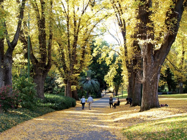 sydney blog australia guide (3)