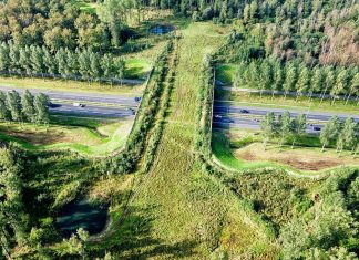 way-wild-animals-protect-enviroment-things to see in netherlands