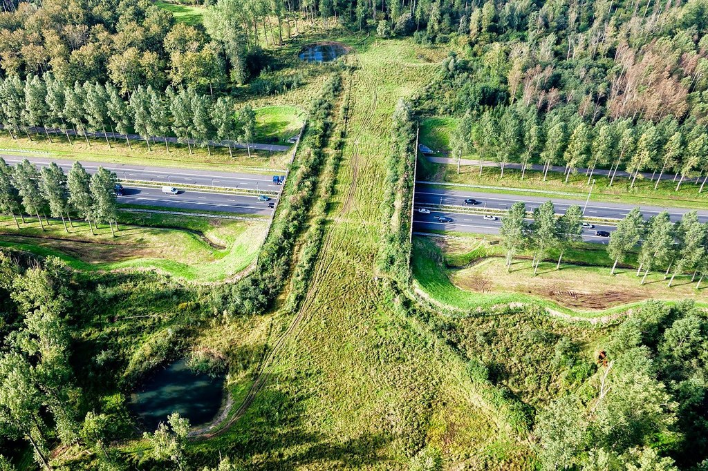 way-wild-animals-protect-enviroment-things to see in netherlands