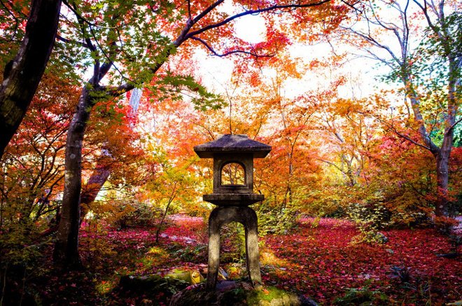 autumn in japan travel photos travel guides
