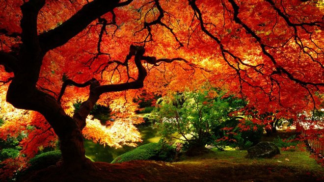new england autumn forests travel photos