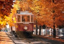 10+ beautiful pictures of autumn season show weaves ‘yellow carpets’ around the world prague, czech autumn travel photos