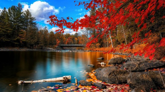 red maple leaf symbol of canada autumn travel destinations