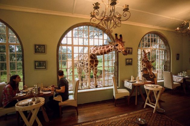 wanderlust_tips_enjoy-breakfast-with giraffes-in-Kenya4 (3)