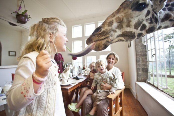 wanderlust_tips_enjoy-breakfast-with giraffes-in-Kenya4