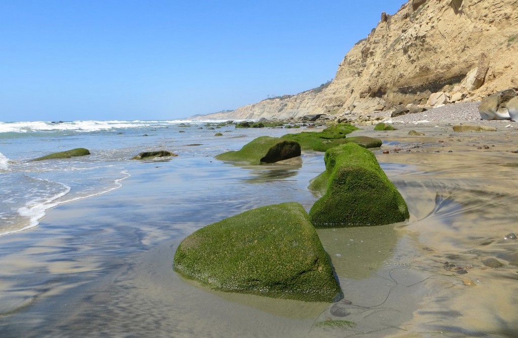 4 top nude beaches Black’s Beach, California, USA
