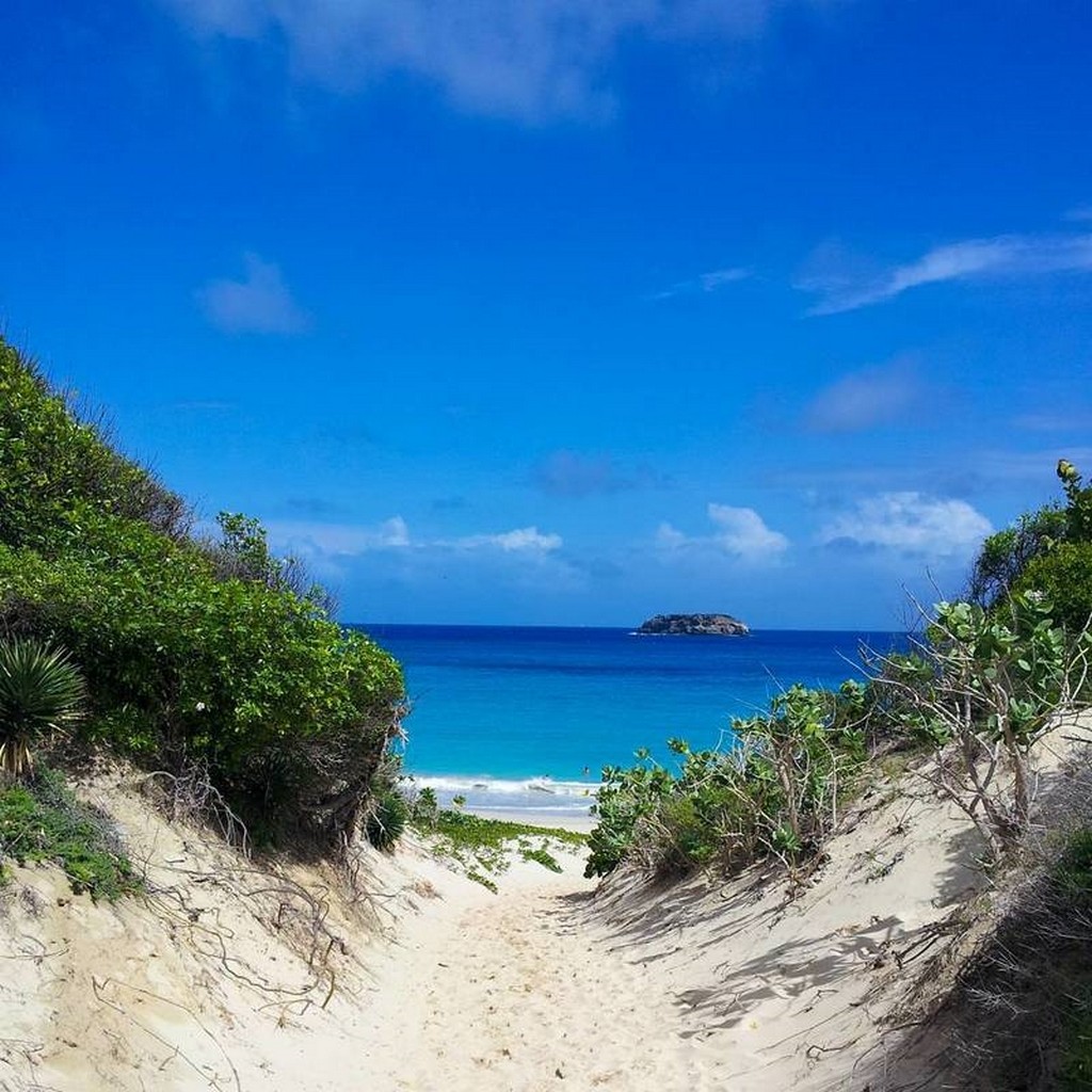 6 top nude beaches Grande Saline Beach, St. Barts 2