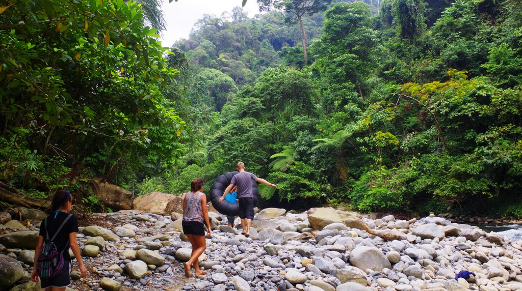 10. Gunung Leuser National Park, Indonesia 1