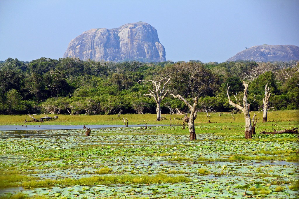 5. Yala National Park, Sri Lanka