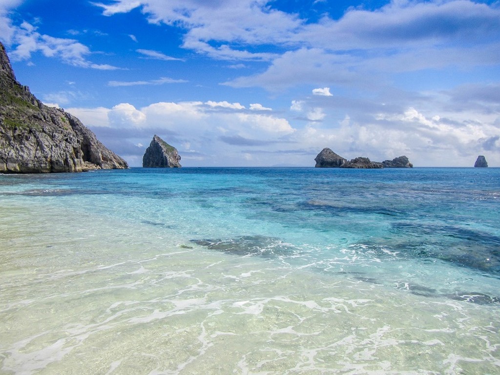 9. Bonin Islands, Japan wildlife