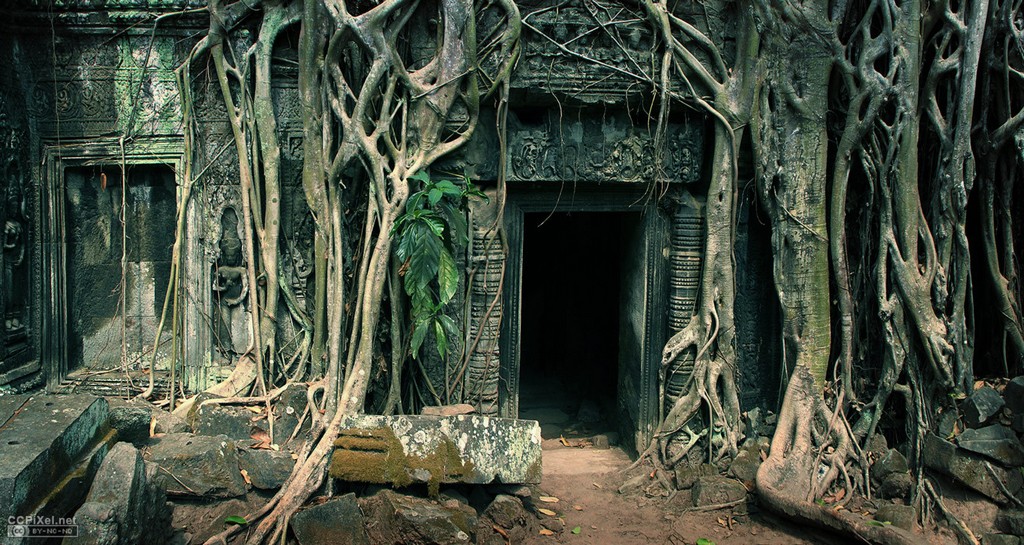 Ta Prohm Temple cambodian travel destinations