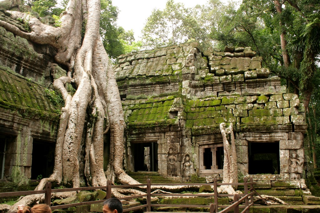 Ta Prohm Temple cambodian travel destinations siem reap tourist attractions best places to visit in siem reap siem reap tourist places