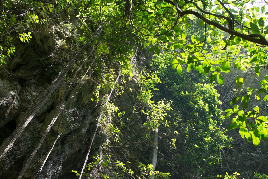 jomblang cave
