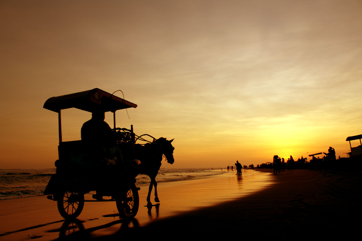 parangtritis-horse-riding-1