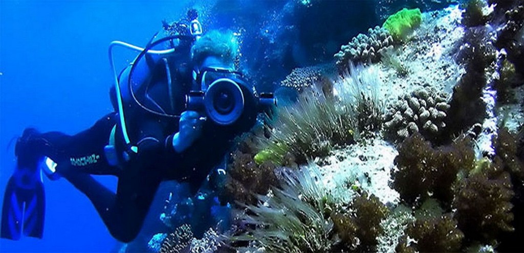 diving at andaman beach phuket