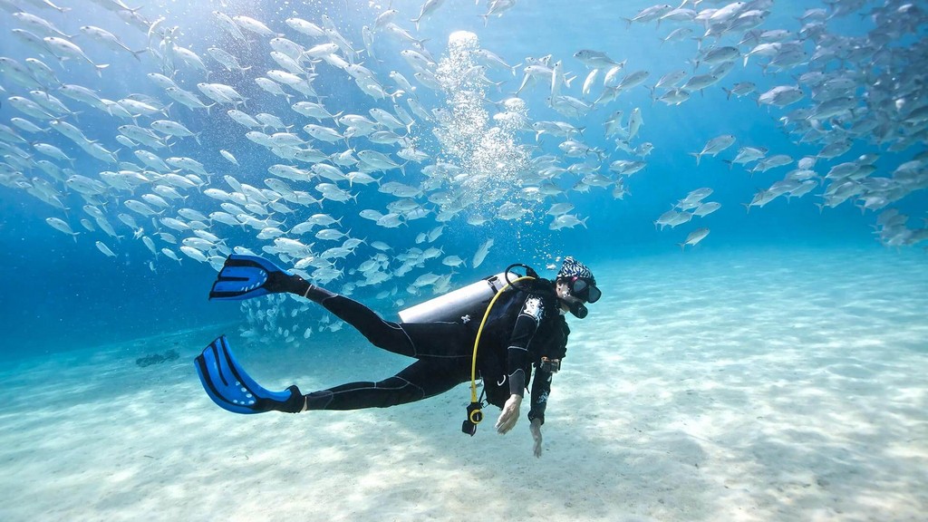 diving at andaman beach phuket