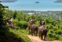 phuket things to do