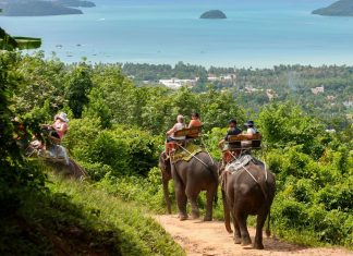 phuket things to do