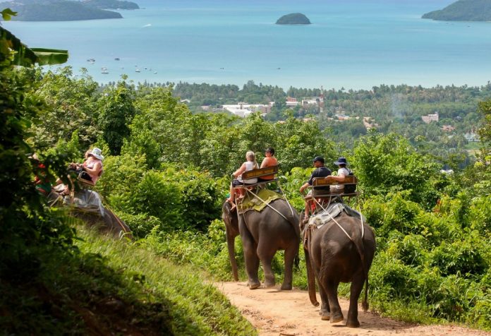 10-ride-the-elephant-phuket-1 phuket things to do