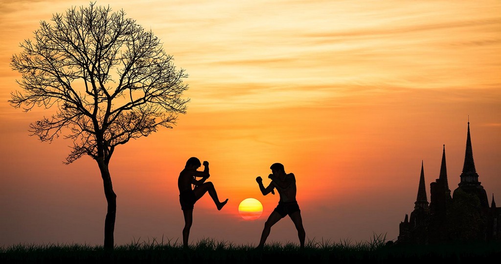 watch muay thai thailand activities phuket