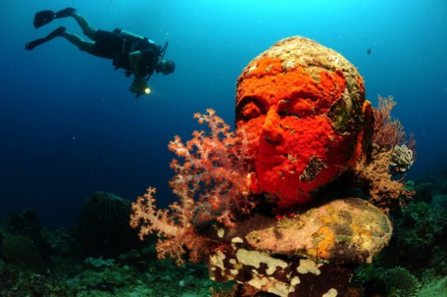 pemuteran-bali-island-new-land-on-the-bali-island-bali-attractions-1