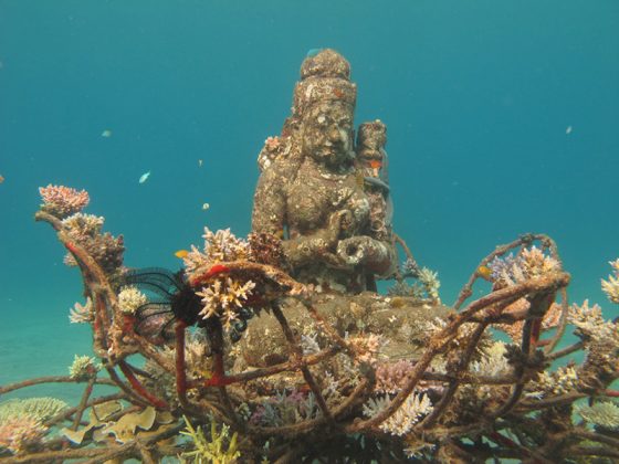 pemuteran-bali-island-new-land-on-the-bali-island-bali-attractions-11