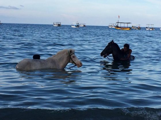 pemuteran-bali-island-new-land-on-the-bali-island-bali-attractions-17