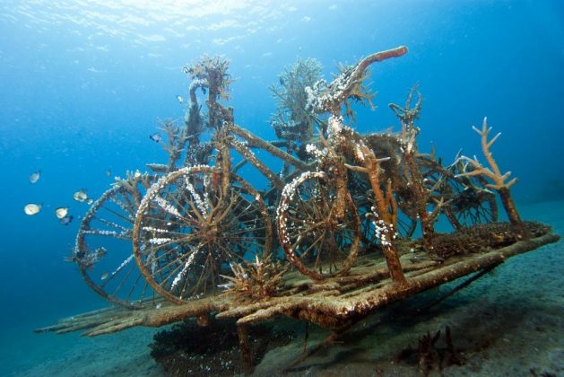 pemuteran-bali-island-new-land-on-the-bali-island-bali-attractions-9