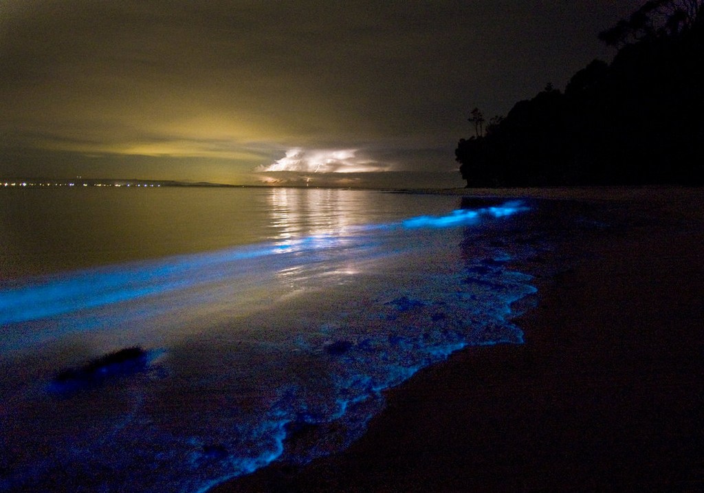 krabi thailand things to do