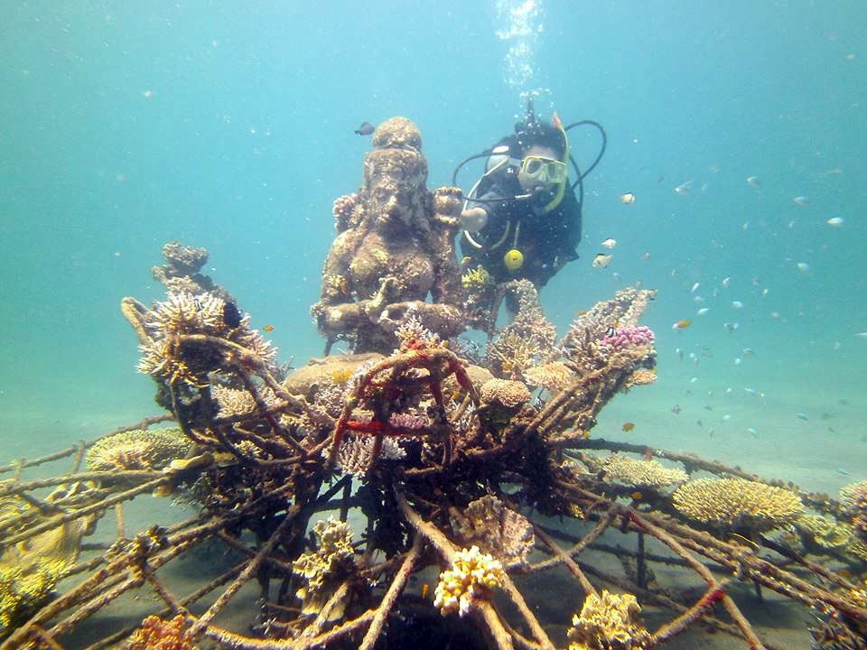 pemuteran-coral-the-new-land-on-the-bali-island12
