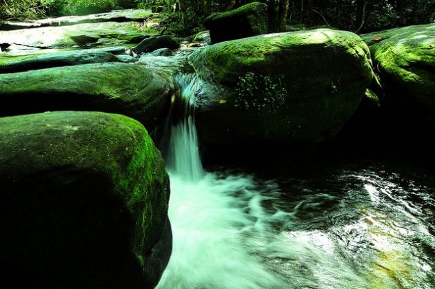 tranh-stream-phu-quoc-ideal-place-in-phu-quoc-12