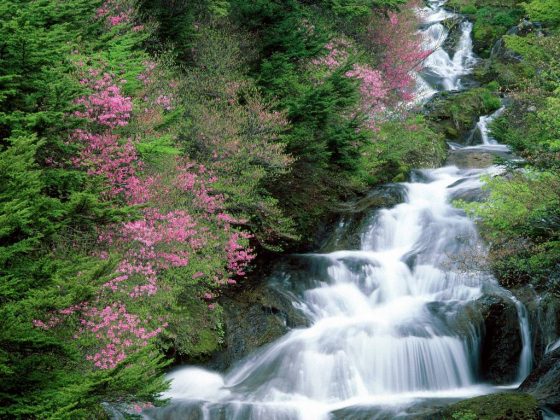 tranh-stream-phu-quoc-ideal-place-in-phu-quoc-3