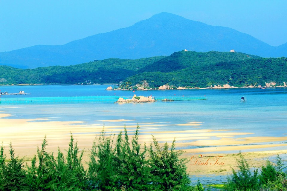 van phong bay nha trang