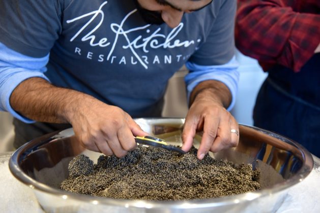 caviar-best food in the world (5)