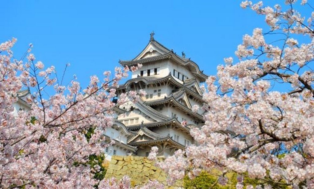 The Imperial Palace East Garden -Best Places to View Cherry Blossoms in Tokyo1