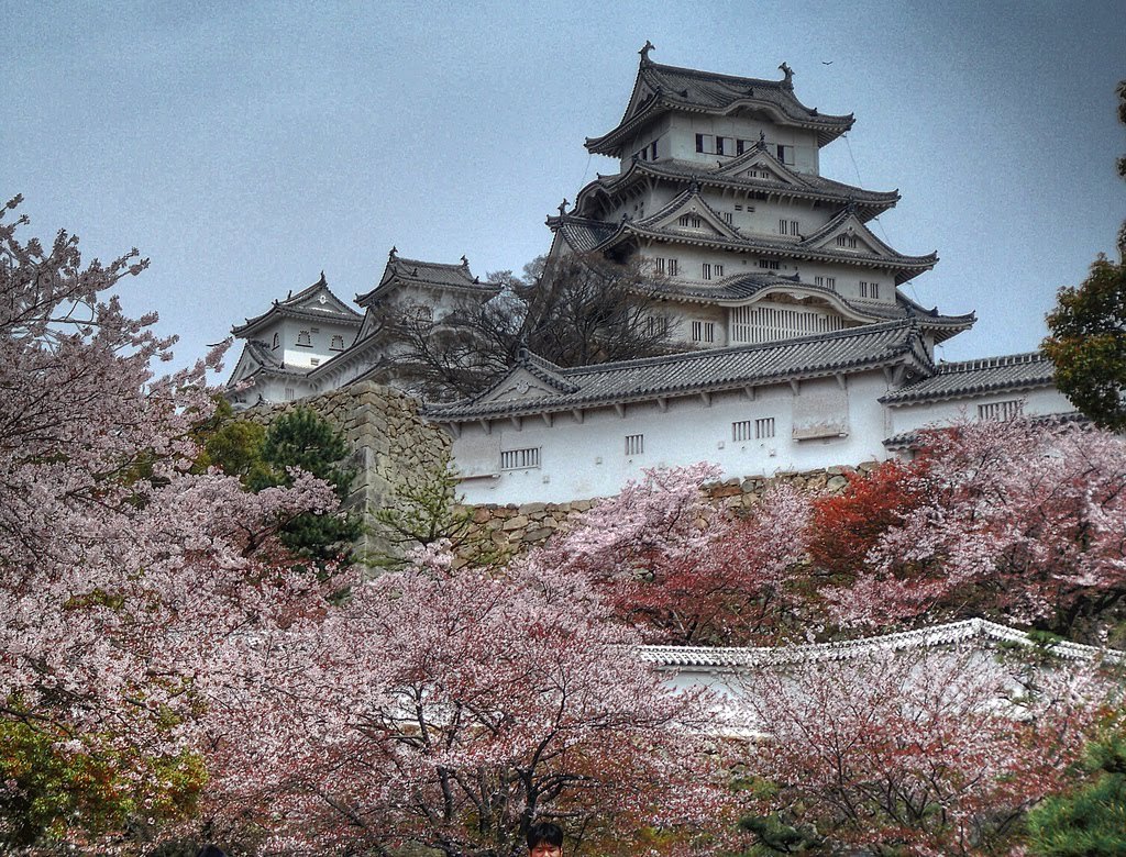 The Imperial Palace East Garden -Best Places to View Cherry Blossoms in Tokyo2