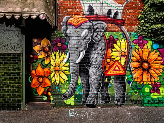 street-art-melbourne-wall-painting (9)