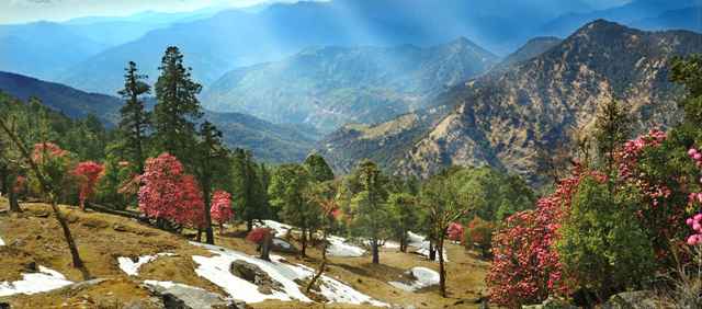 almora city india