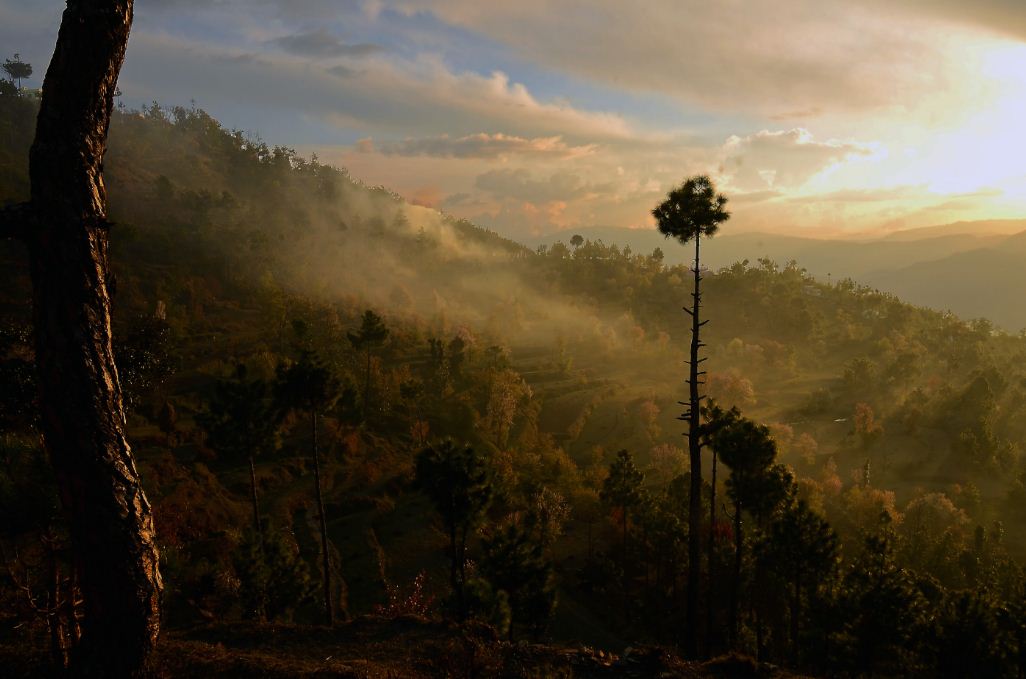 almora city india