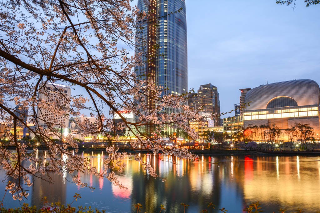 Seokchon Lake Cherry Blossom Festival
