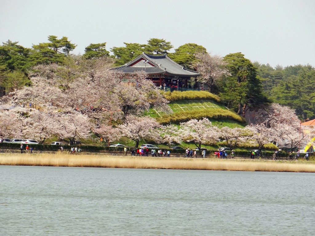 Seokchon Lake Cherry Blossom Festival